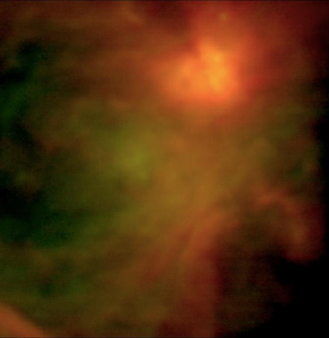 Flying Telescope Snaps First Science Photos